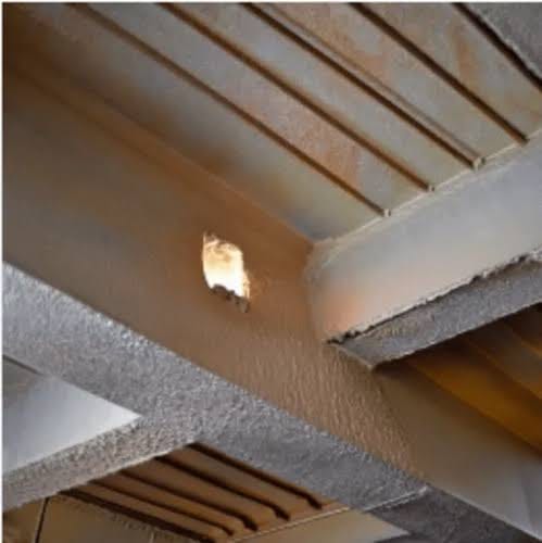 Vermiculite Coating gallery